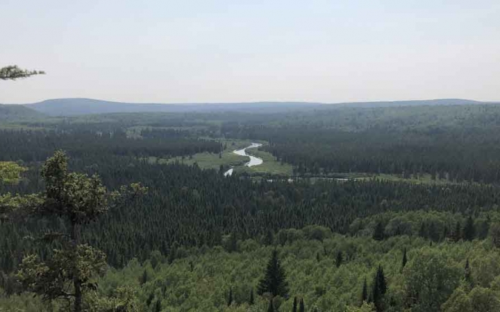 from a high vantage point, a river winds through a green forest